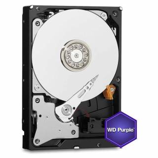 Western Digital 1TB Surveillance Purple  Internal Hard Disk
